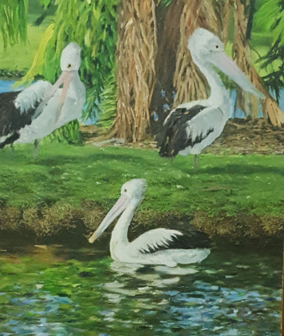 Pelicans