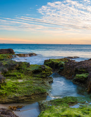 North Cott