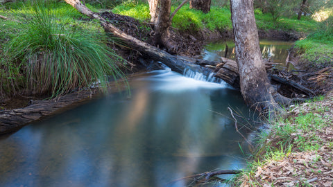 Stream