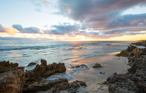 ocean reef