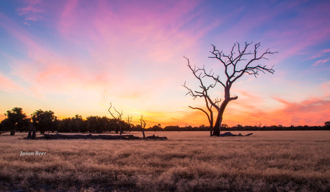 Whiteman p sunset