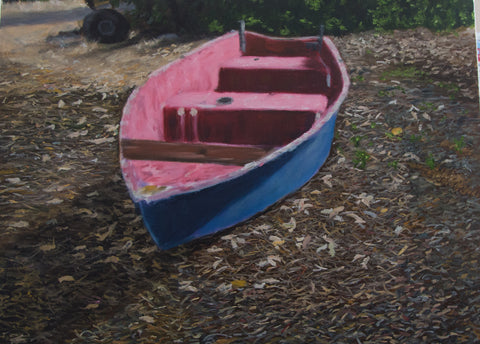 Old boat amongst the bush